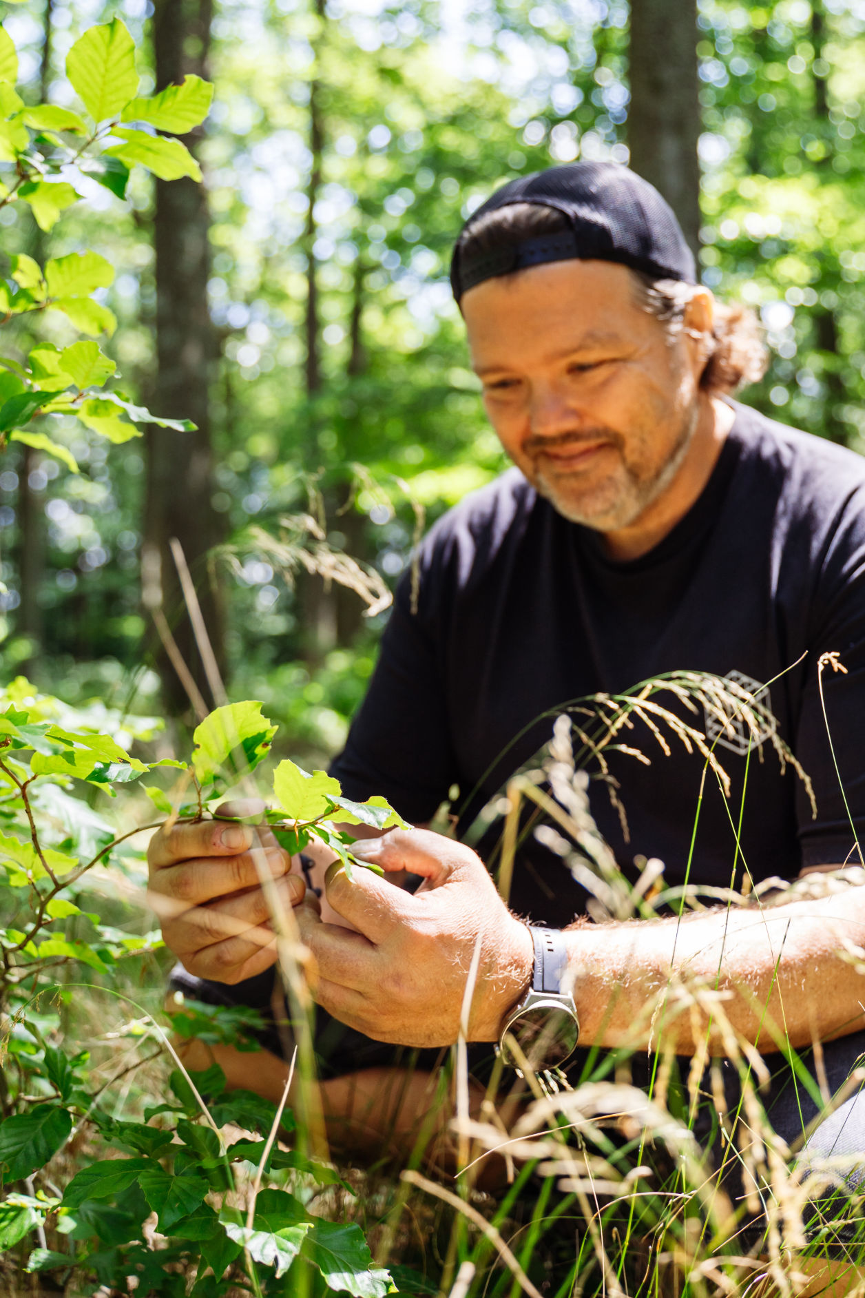 Ich bin im Wald und schaue mir Blätter an! Danke an Wohllebens Waldakademie für das schöne Foto! 